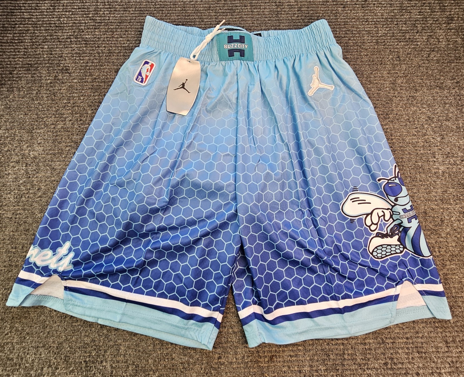 Charlotte Hornets mens XL jordan Basketball shorts new Lined
