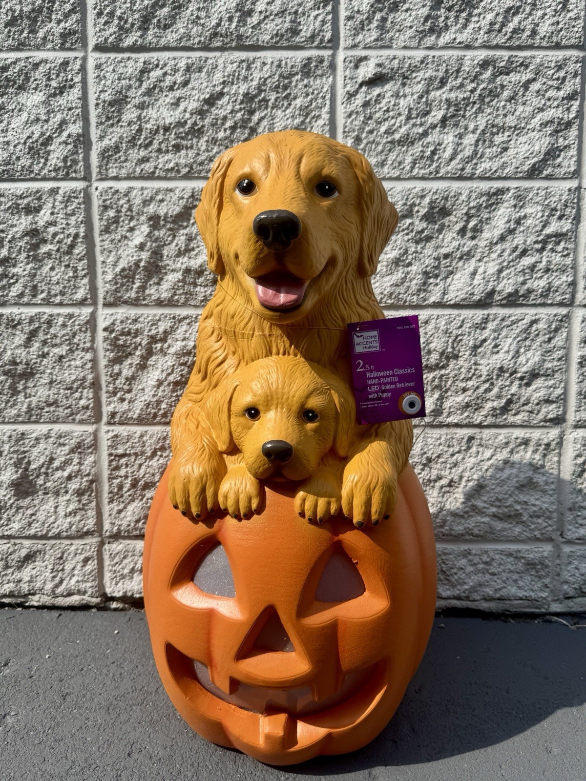 2026 Home Depot 2.5 Ft Golden Retriever w Puppy Pumpkin Halloween Blow Mold ๐ 2026 Home Depot 2.5 Ft Golden Retriever w Puppy Pumpkin Halloween Blow Mold ๐