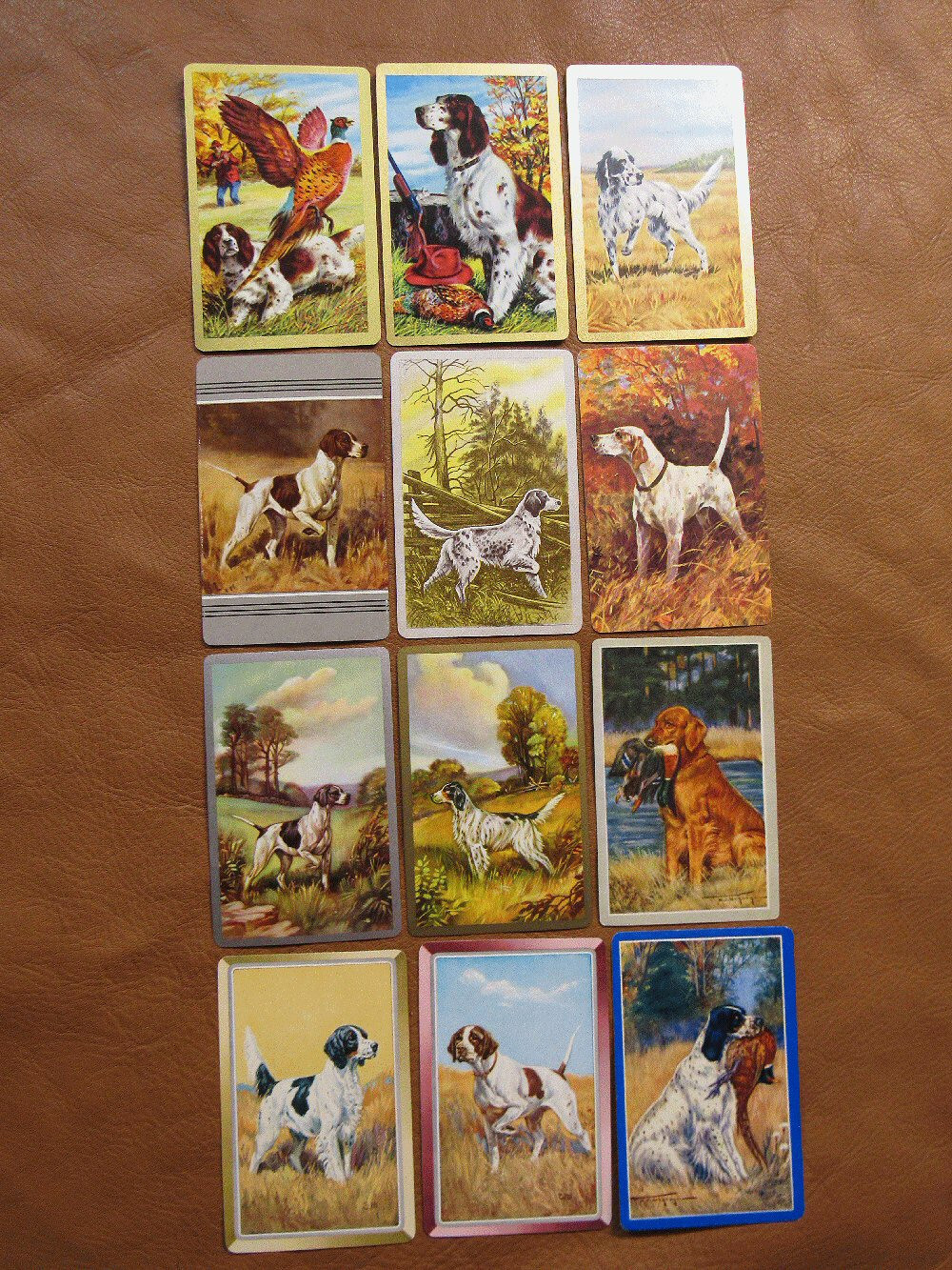 12 Hunting Dogs Playing Swap Cards 12 Hunting Dogs Playing Swap Cards