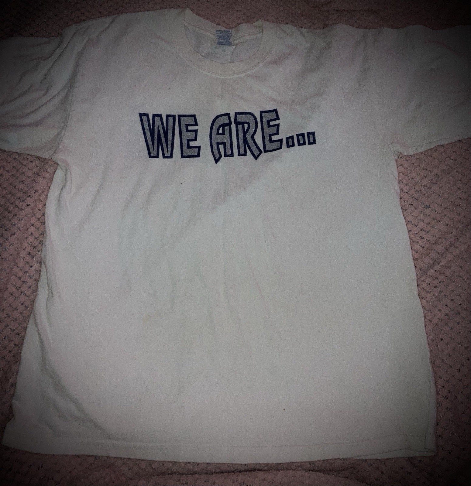 Vintage 1999 Columbine High School Tshirt/Columbine Unity Shirt