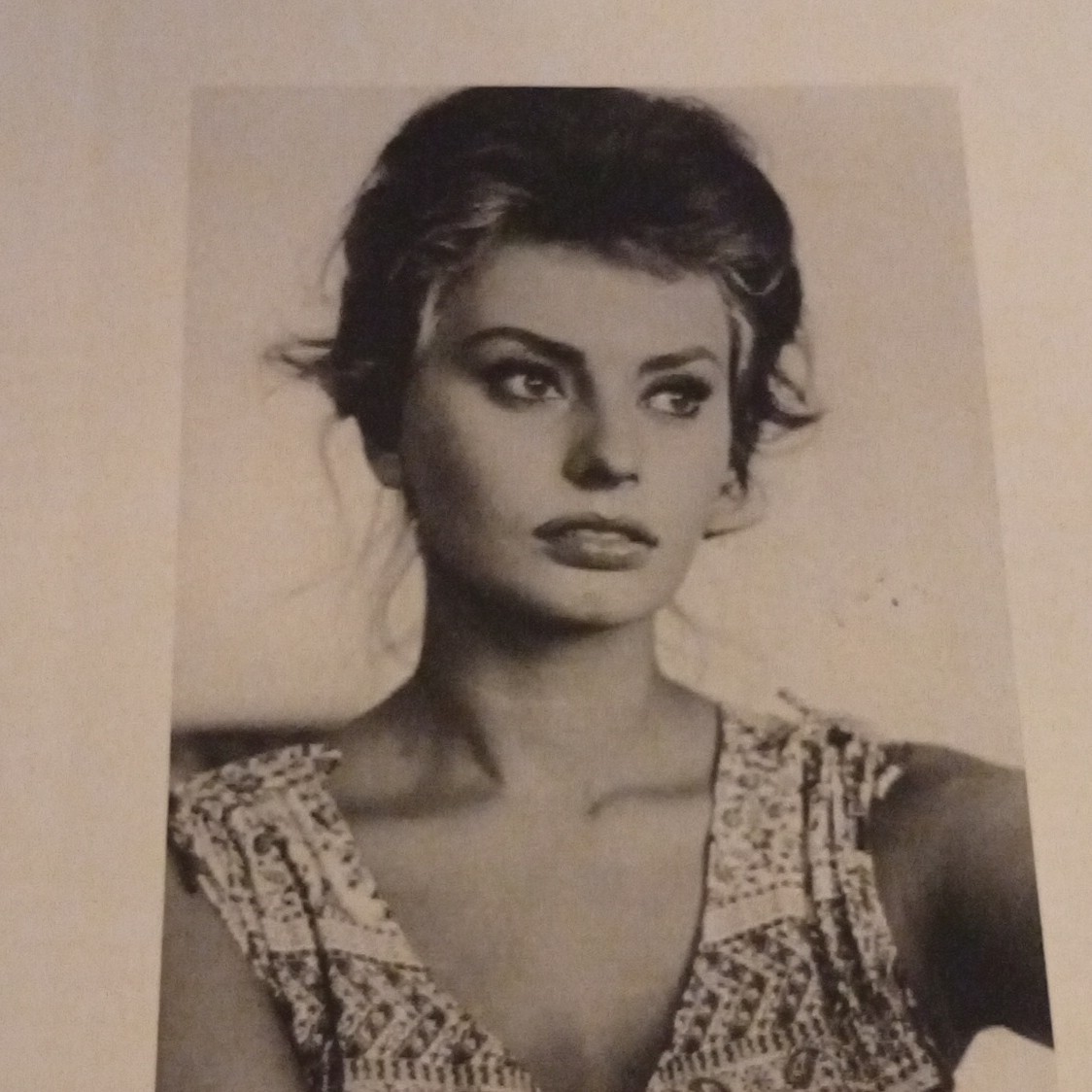 Sophia Loren Autographed Photo with Printed Biography and Date 1934 Sophia Loren Autographed Photo with Printed Biography and Date 1934