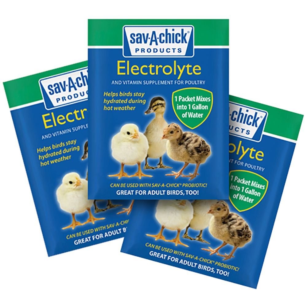 Sav-A-Chick 9 Pack of Electrolyte and Vitamin Supplement Strip for B01K27VJ8C Sav-A-Chick 9 Pack of Electrolyte and Vitamin Supplement Strip for B01K27VJ8C