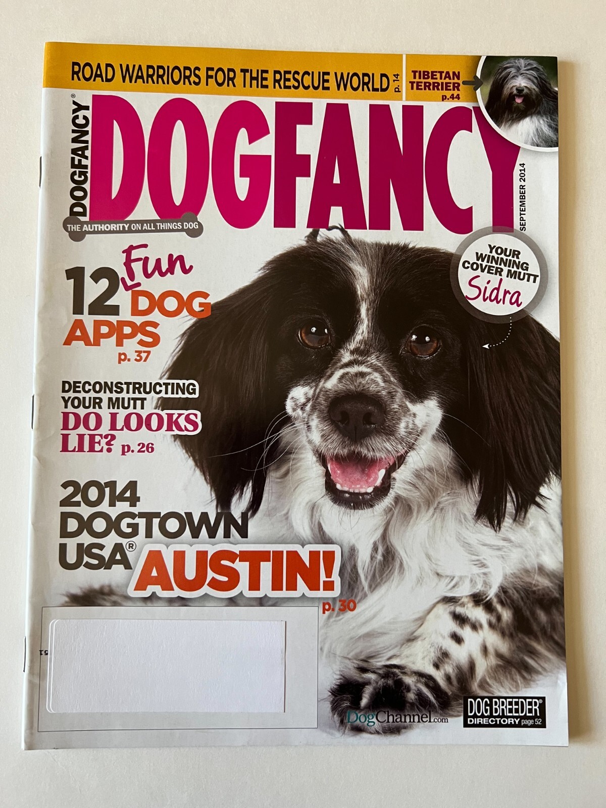 SIDRA MUTT * TIBETAN TERRIER * 12 FUN DOG APPS September 2014 DOG FANCY MAGAZINE