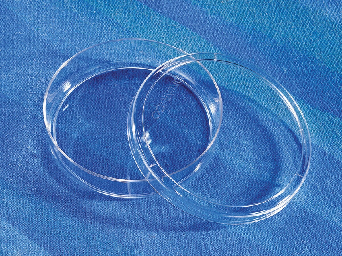 *Sterile* Corning Tissue Culture Dishes 100x20mm, 20/Bag, 500/Case