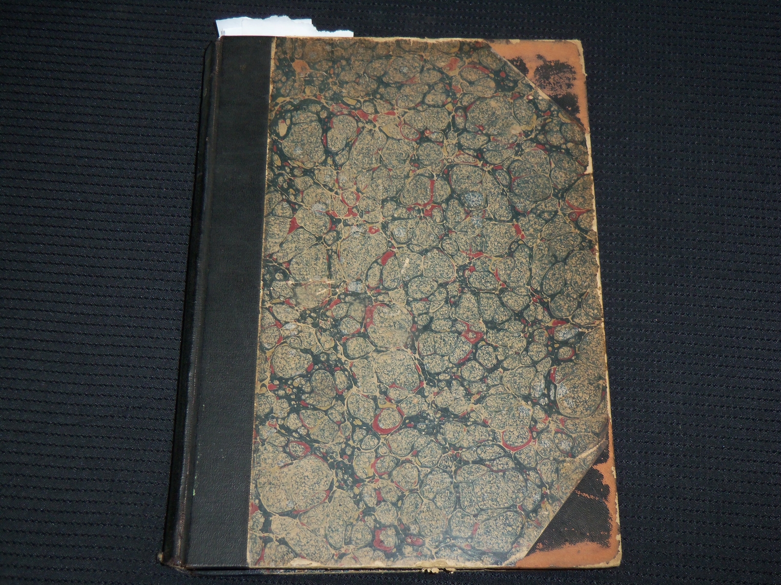 1906 BIRDS AND NATURE IN NATURAL COLORS VOLUME 19 BY WILLIAM HIGLEY - KD 7511