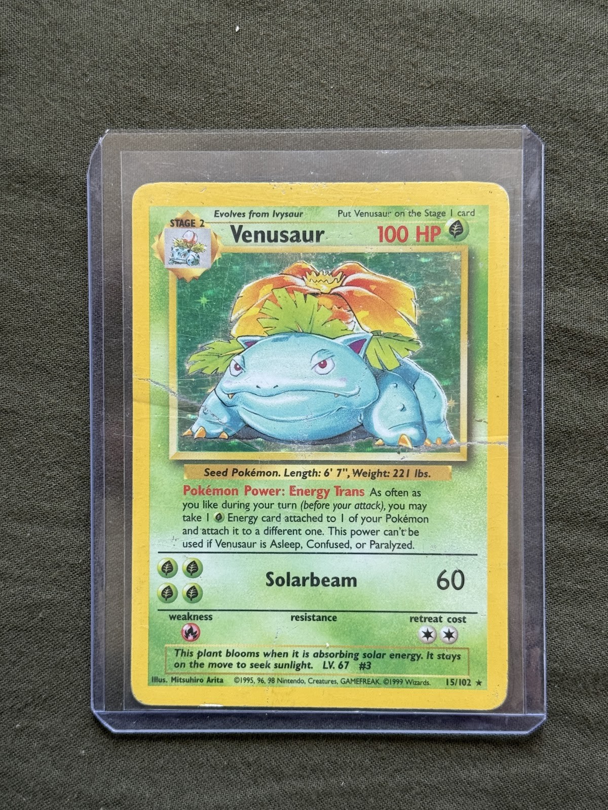 Venusaur 15/102 Base Set Unlimited Holo WOTC Pokemon TCG DMG