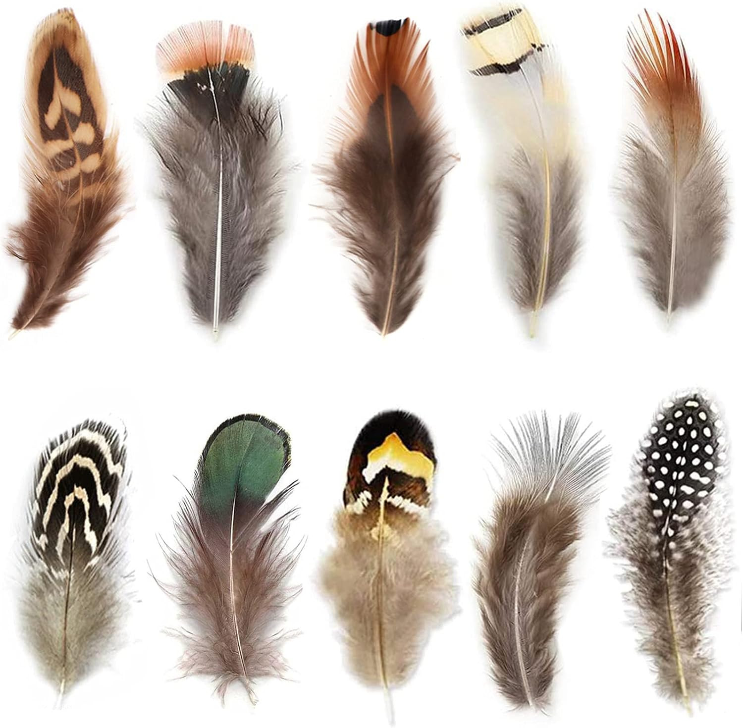300Pcs 10 Style Natural Feathers Assorted Mixed Feathers for Dream Catcher