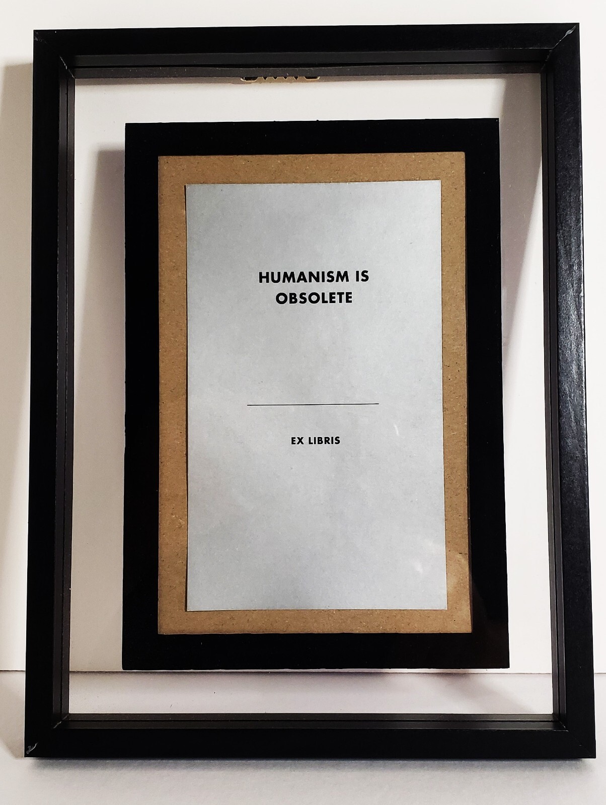 JENNY HOLZER Original TRUISM Limited Edition LITHOGRAPH Framed HUMANISM