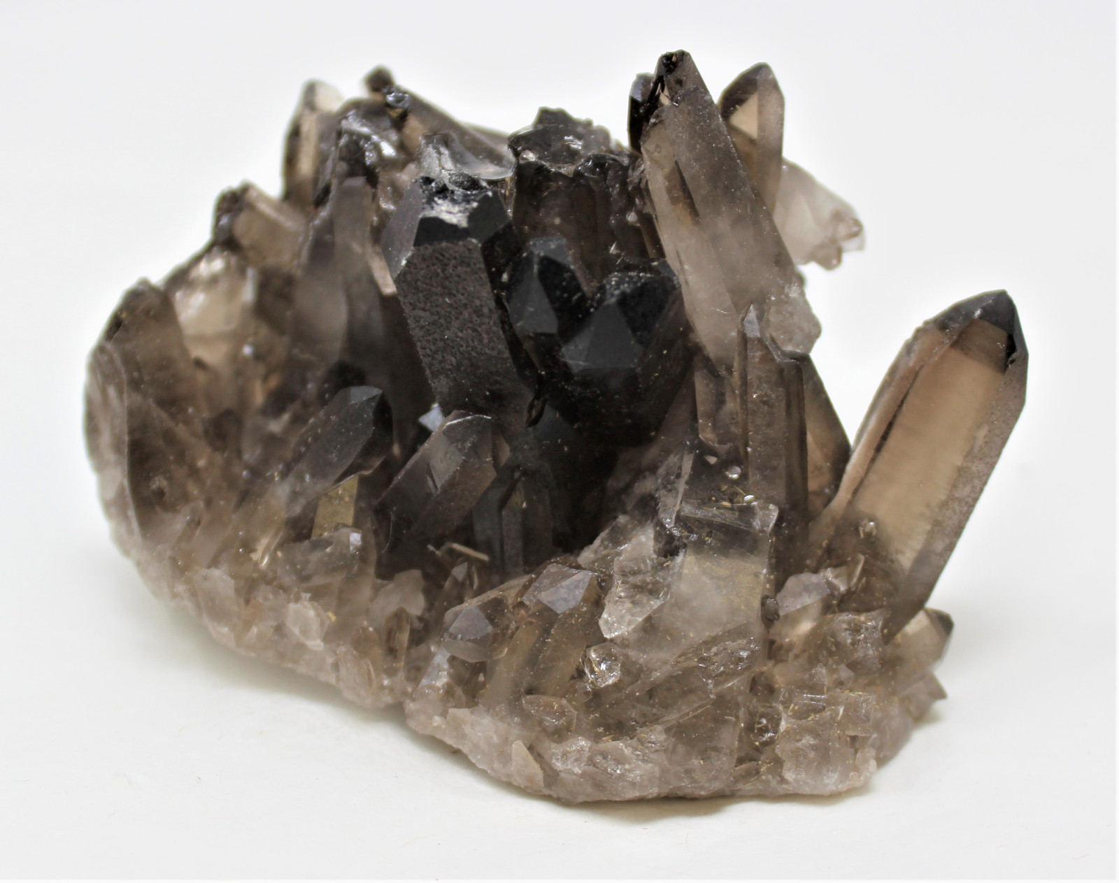 Smoky Quartz Crystal Cluster 3 - 4 oz ('A' Grade Smokey Quartz)