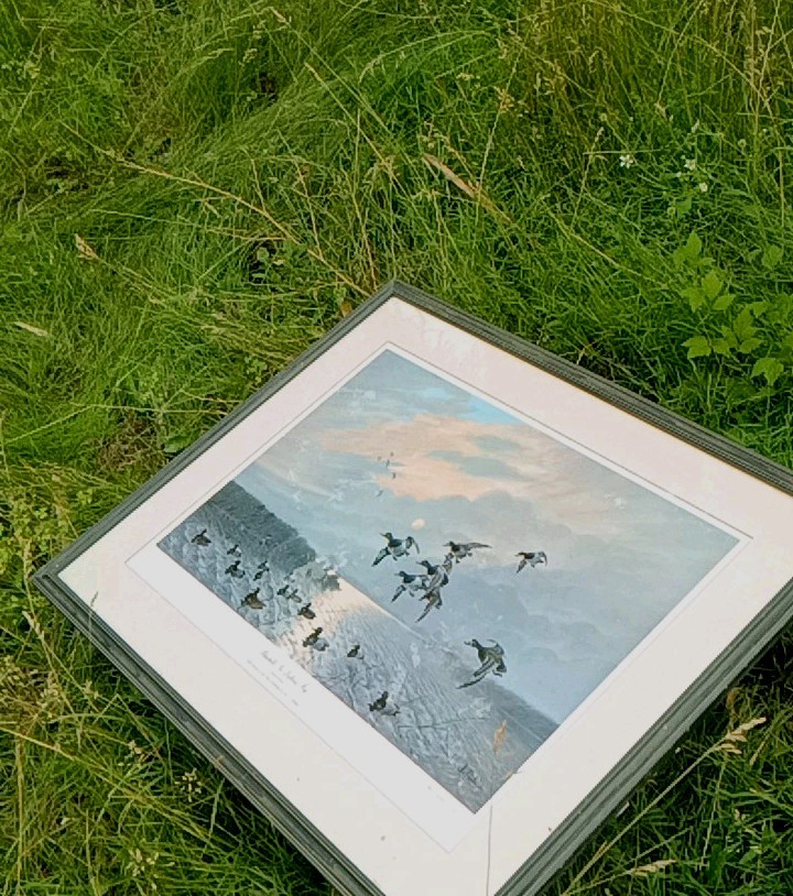 Les C. Kouba Signed & #\'d VTG RARE 35X28\