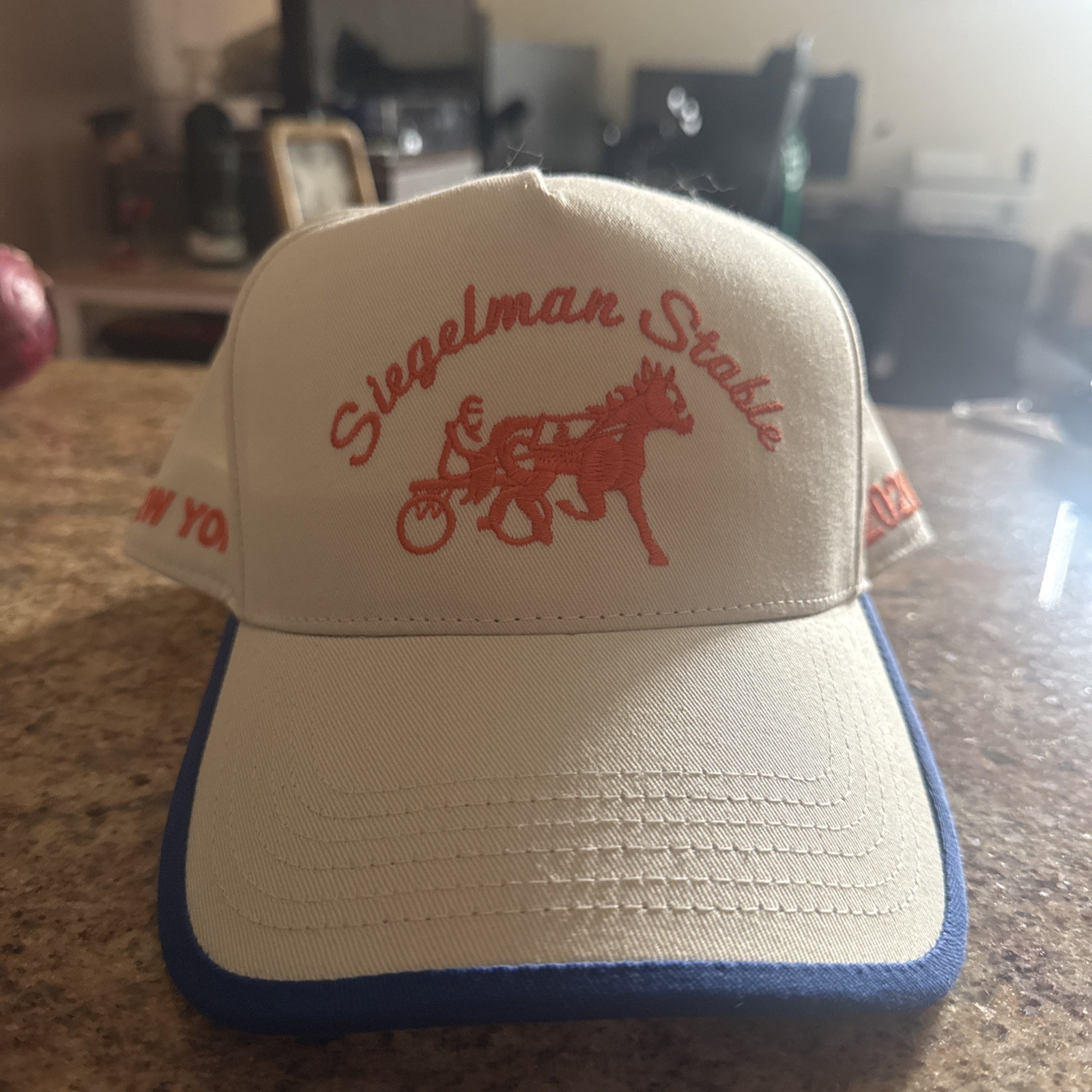 Siegelman Stable New York Knicks Champions 2026 Snapback Cap Hat In Hand