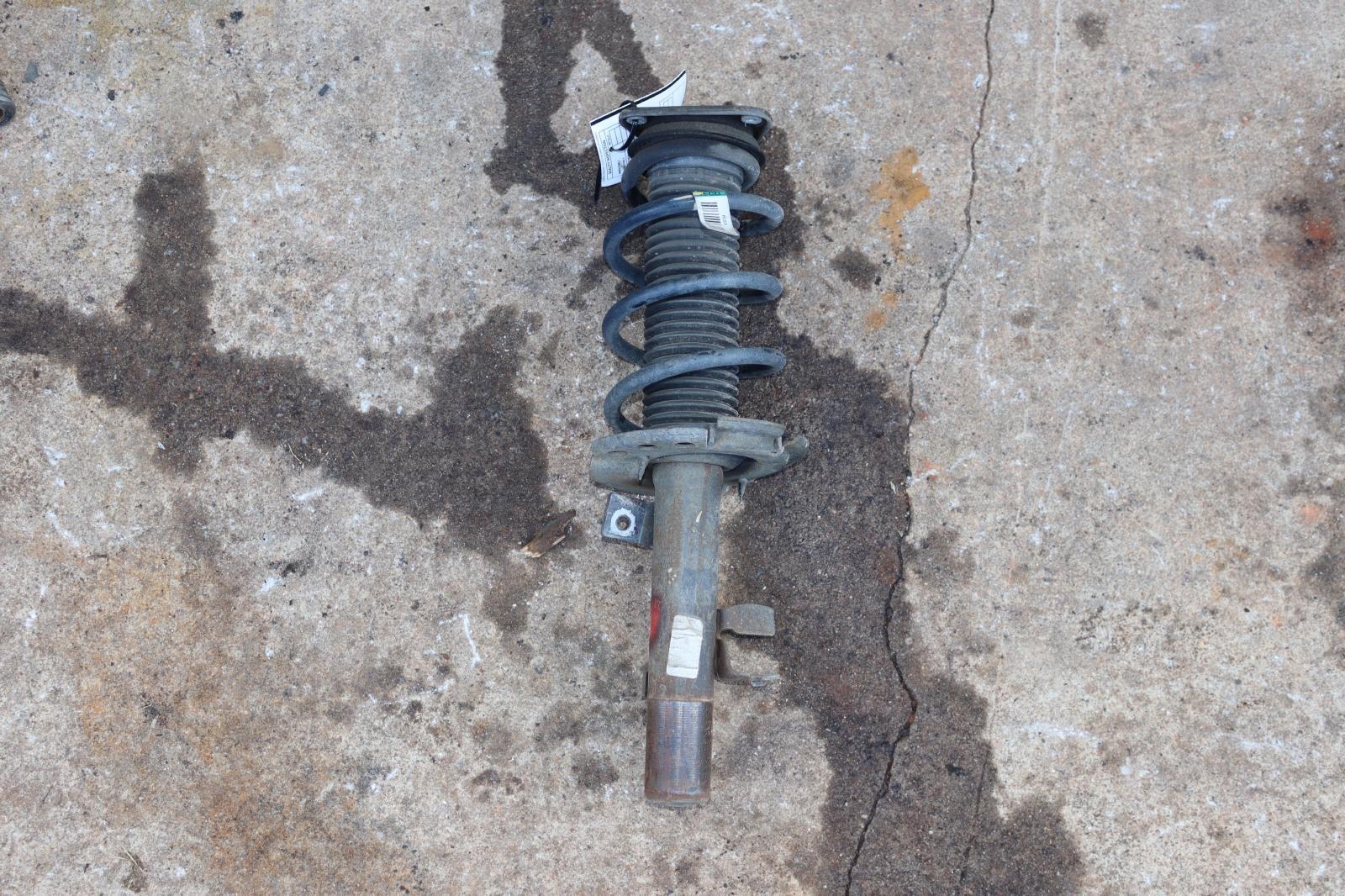 2012-2018 FORD FOCUS HATCHBACK FRONT RIGHT PASSENGER SHOCK STRUT ABSORBER OEM