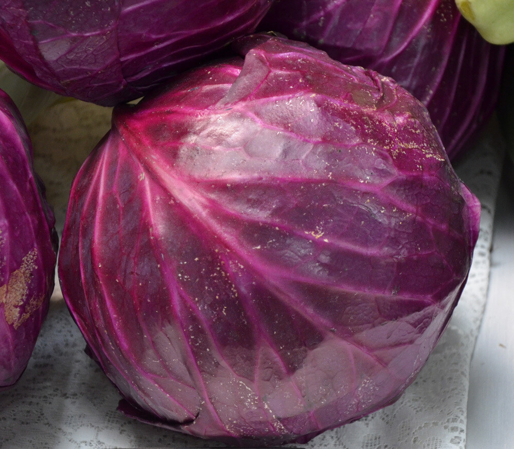 Red Acre Cabbage Seeds, Coleslaw, NON-GMO, Variety Sizes, 