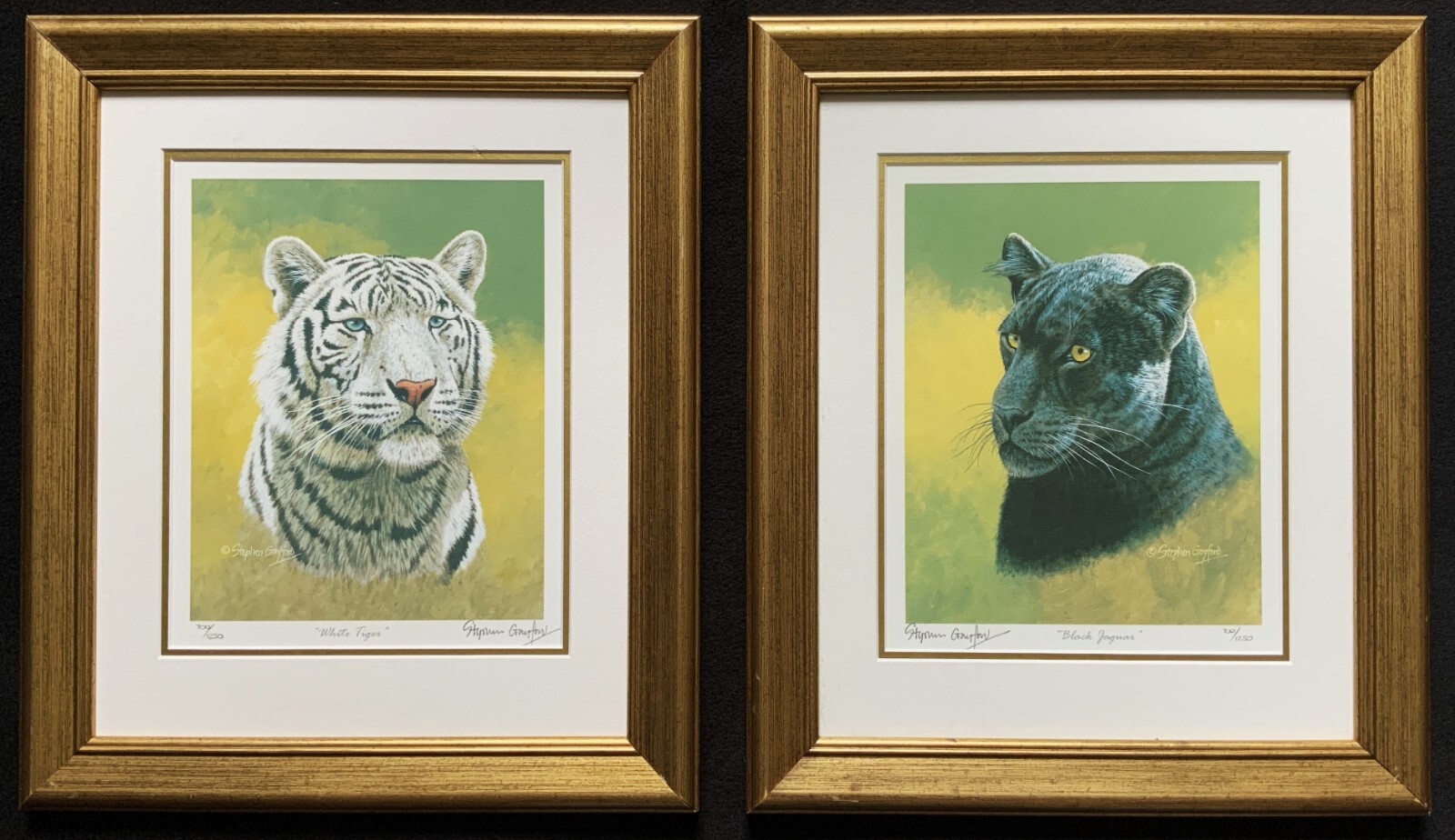 Stunning Pair Signed Limited Edition Tiger & Jaguar Portrait Prints No 700/1250