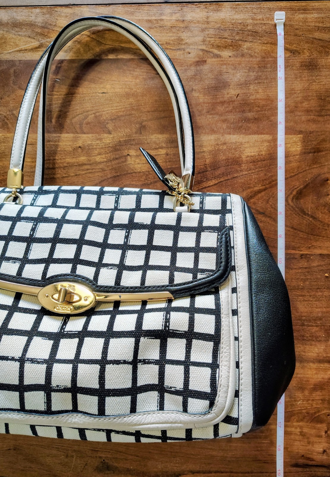 Coach Madison Graphic Print Madeline Satchel Handbag - NWOT, MSRP $358