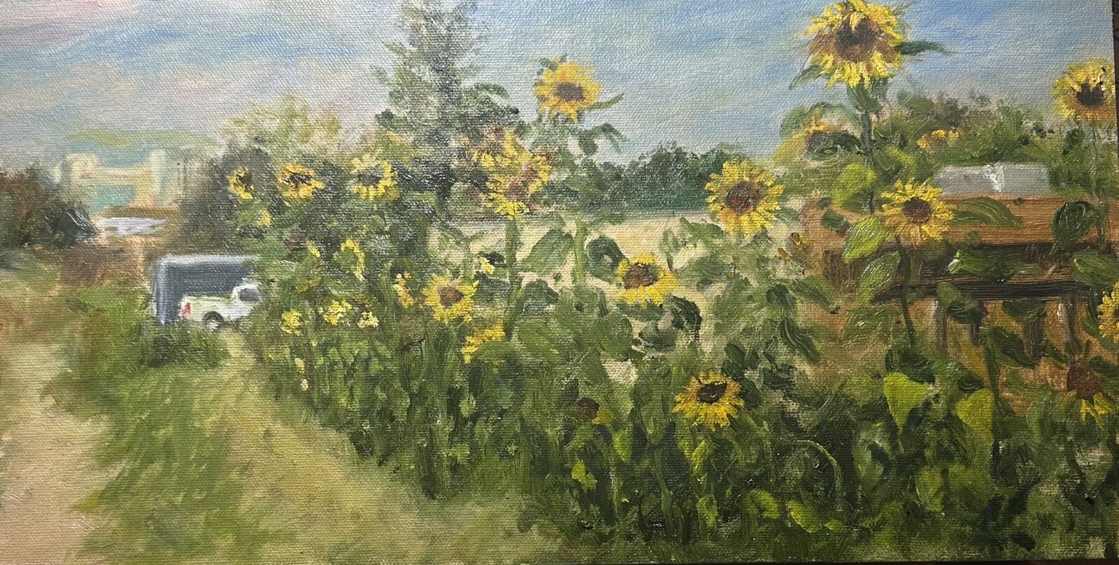 Sunflowers In Grand Rapids - Original Oil Painting