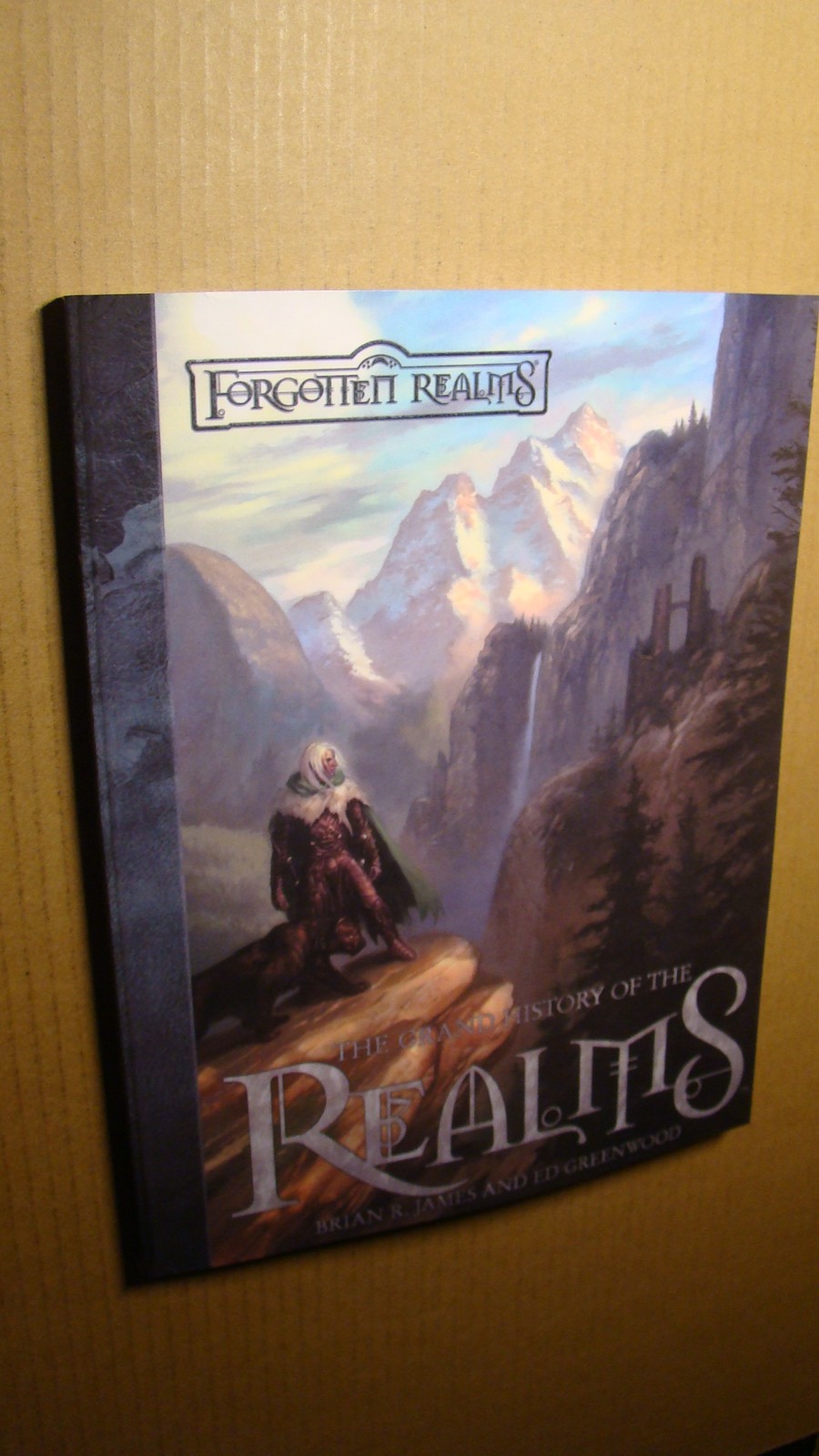 FORGOTTEN REALMS - GRAND HISTORY OF *NEW MINT 9.8 NEW* DUNGEONS DRAGONS