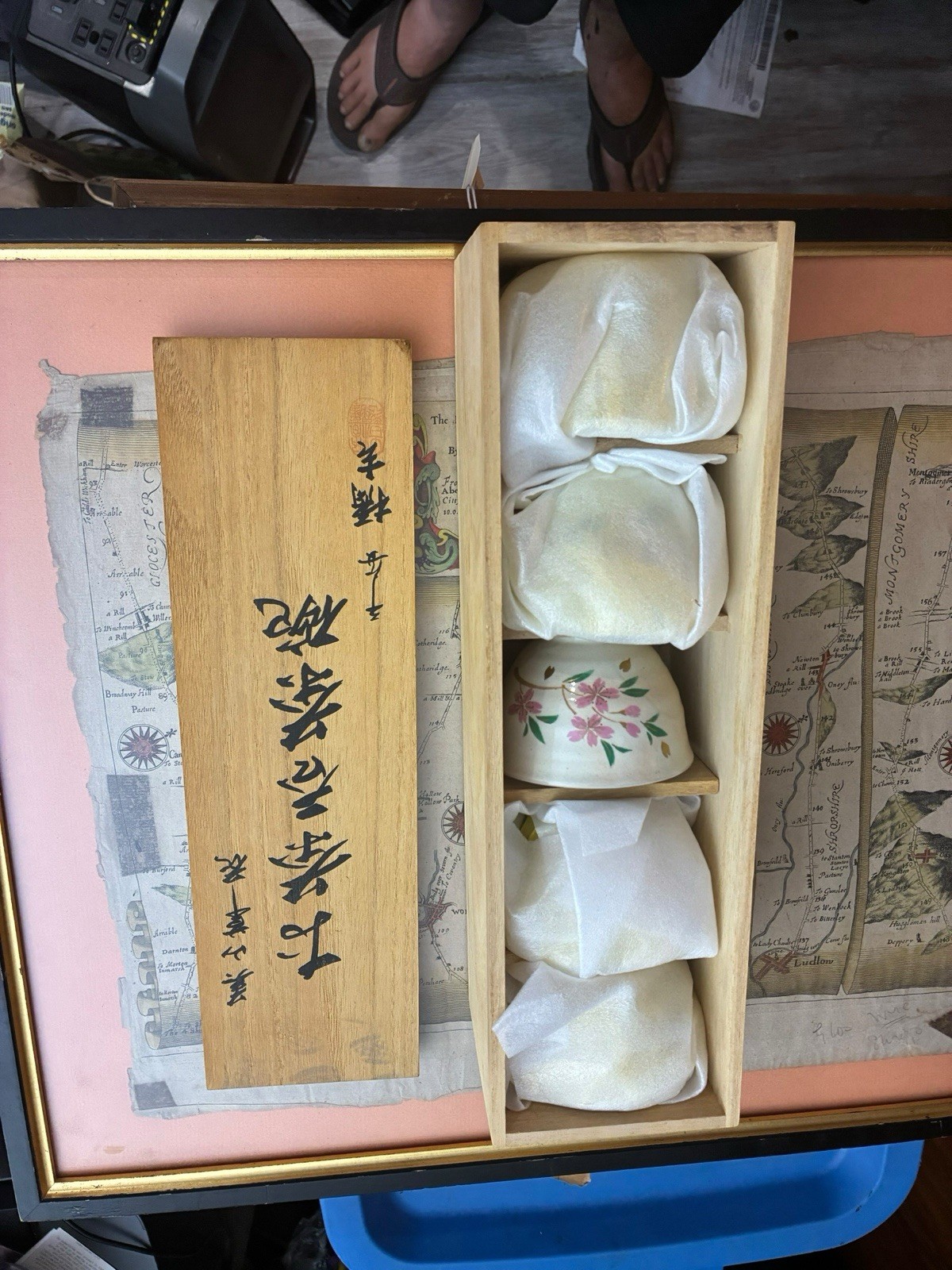 Tachikichi Japanese Sakura Cherry Blossom Yunomi Tea Cups Set of 5 Box