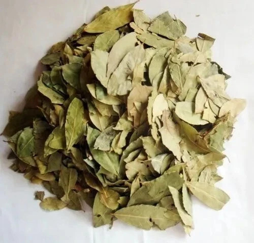 Dried Sidr Leaves Organic Seder Leave 100% Natural ورق سدر مجفف اوراق السدر