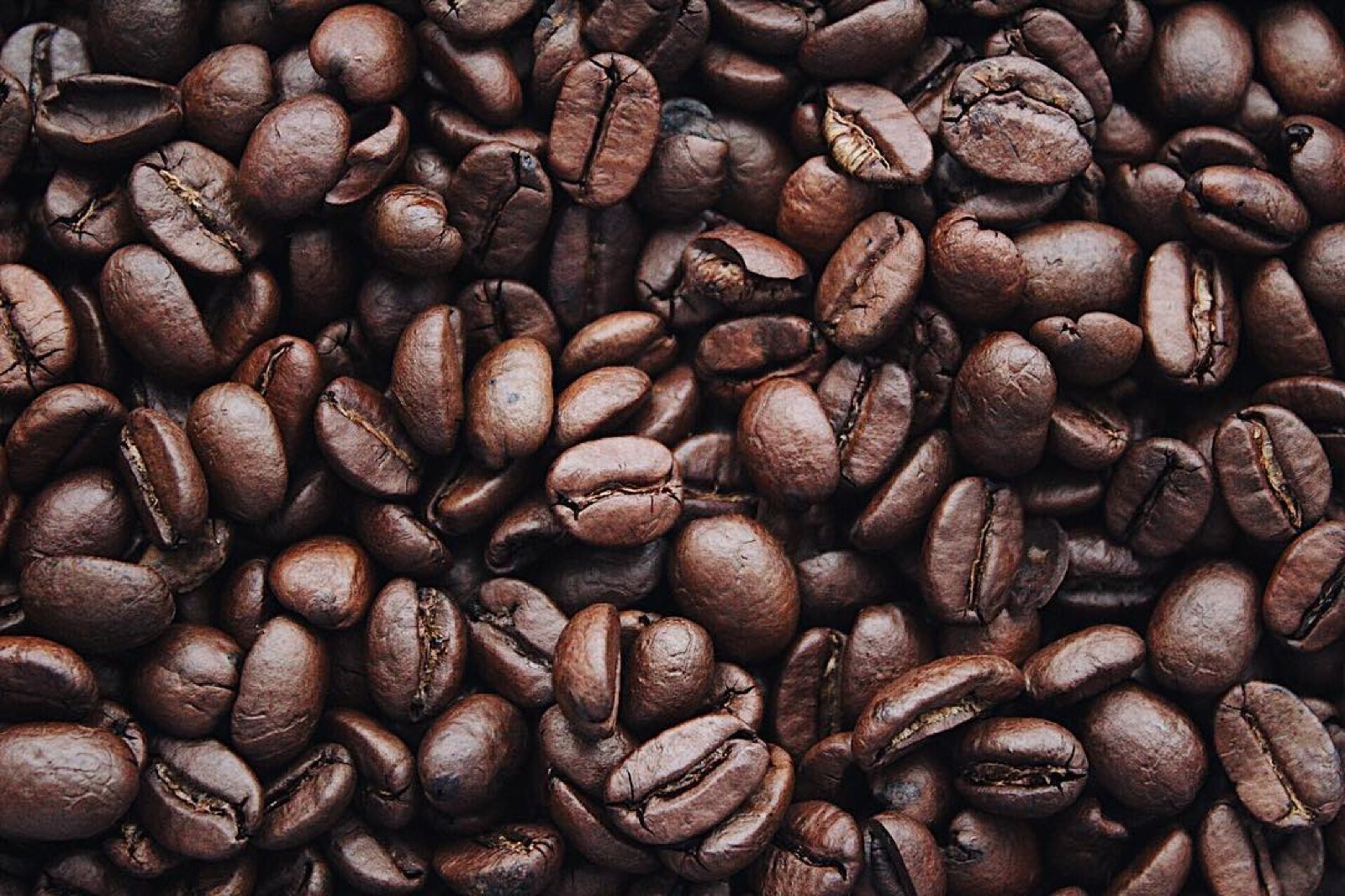 2, 5, 10 LB ETHIOPIA FRESH ROASTED COFFEE WHOLE BEAN, GROUND - ARABICA