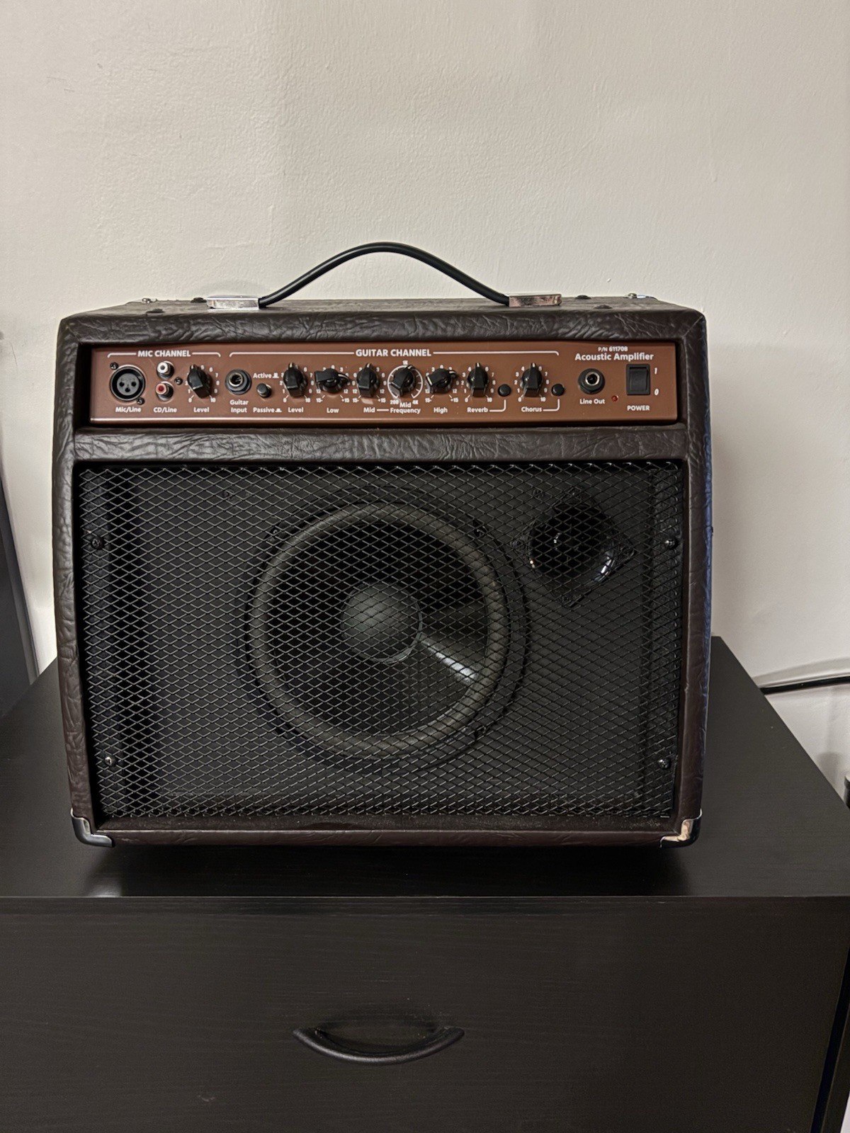 Stage Right Acoustic Guitar Amplifier 20 Watt