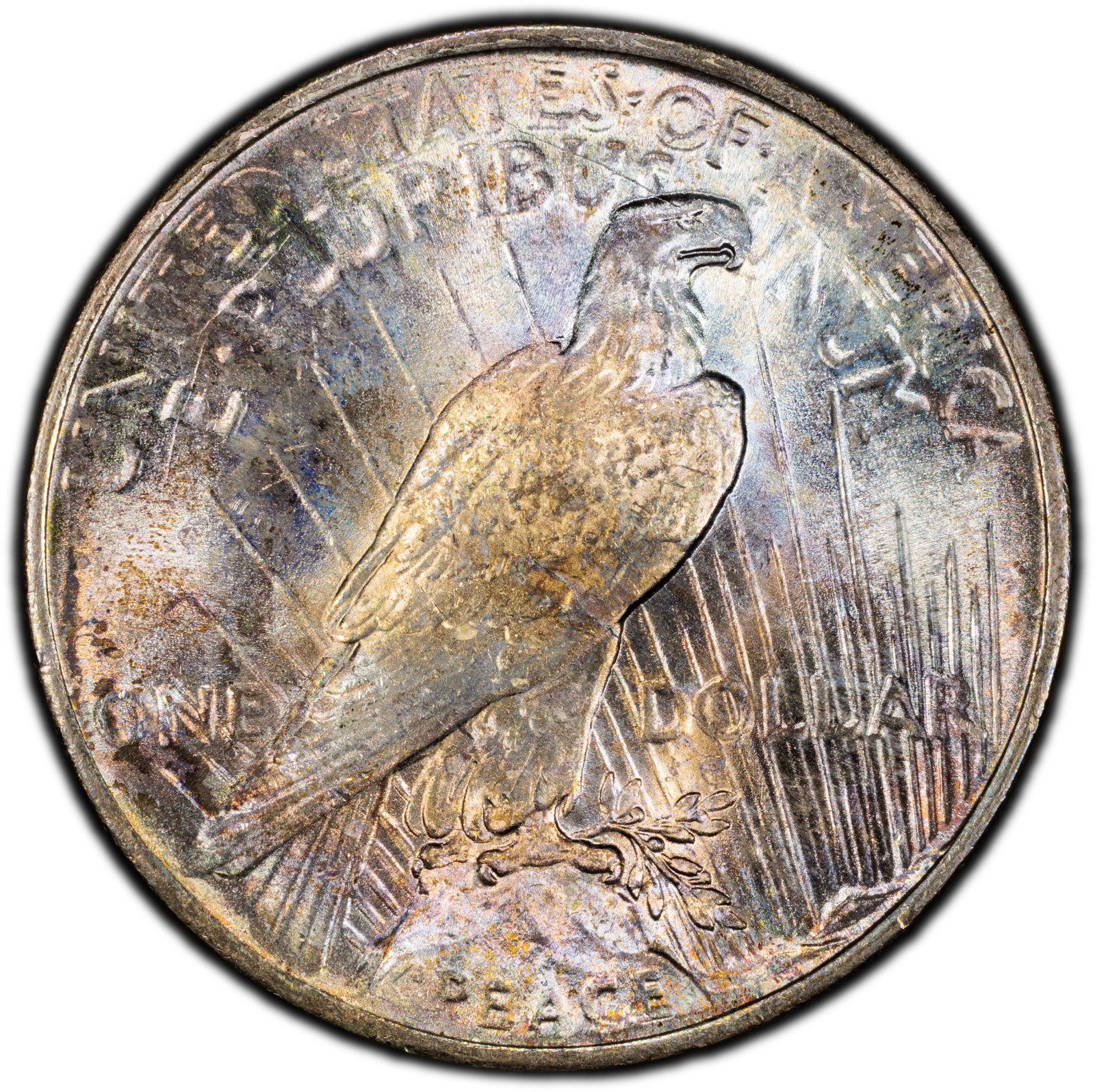 1924-P PCGS MS64 Peace Dollar | Exceptional Iridescent Rainbow Toning | Lustrous