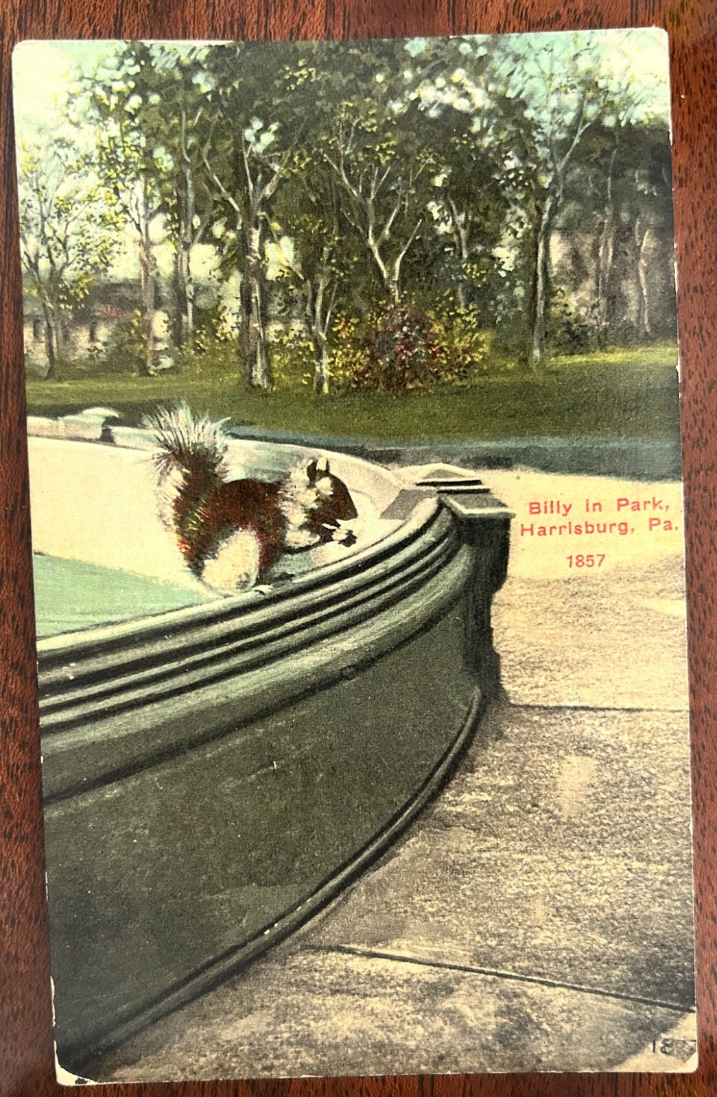 Vintage postcards 1913 Postmark Billy the Squirrel Harrisburg PA Park Fountain