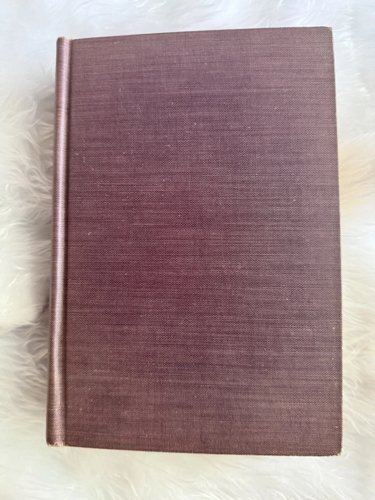 Behold Your Blood By Florence Marvyne Bauer, Vintage Hardcover, Special Edition