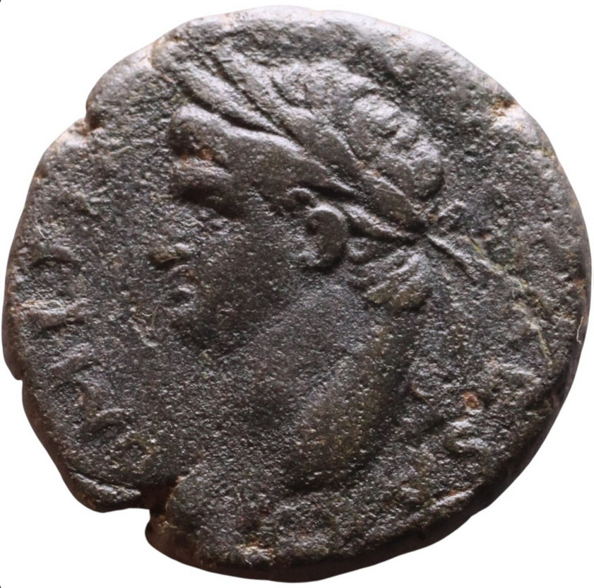 Emperor Domitian 81-96 Roman Genuine Ancient Bronze Coin Antioch Mint SC Reverse