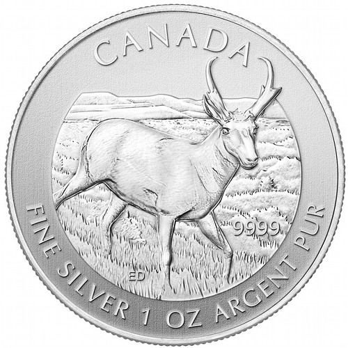 2013 1 oz Canadian Silver Pronghorn Antelope Coin