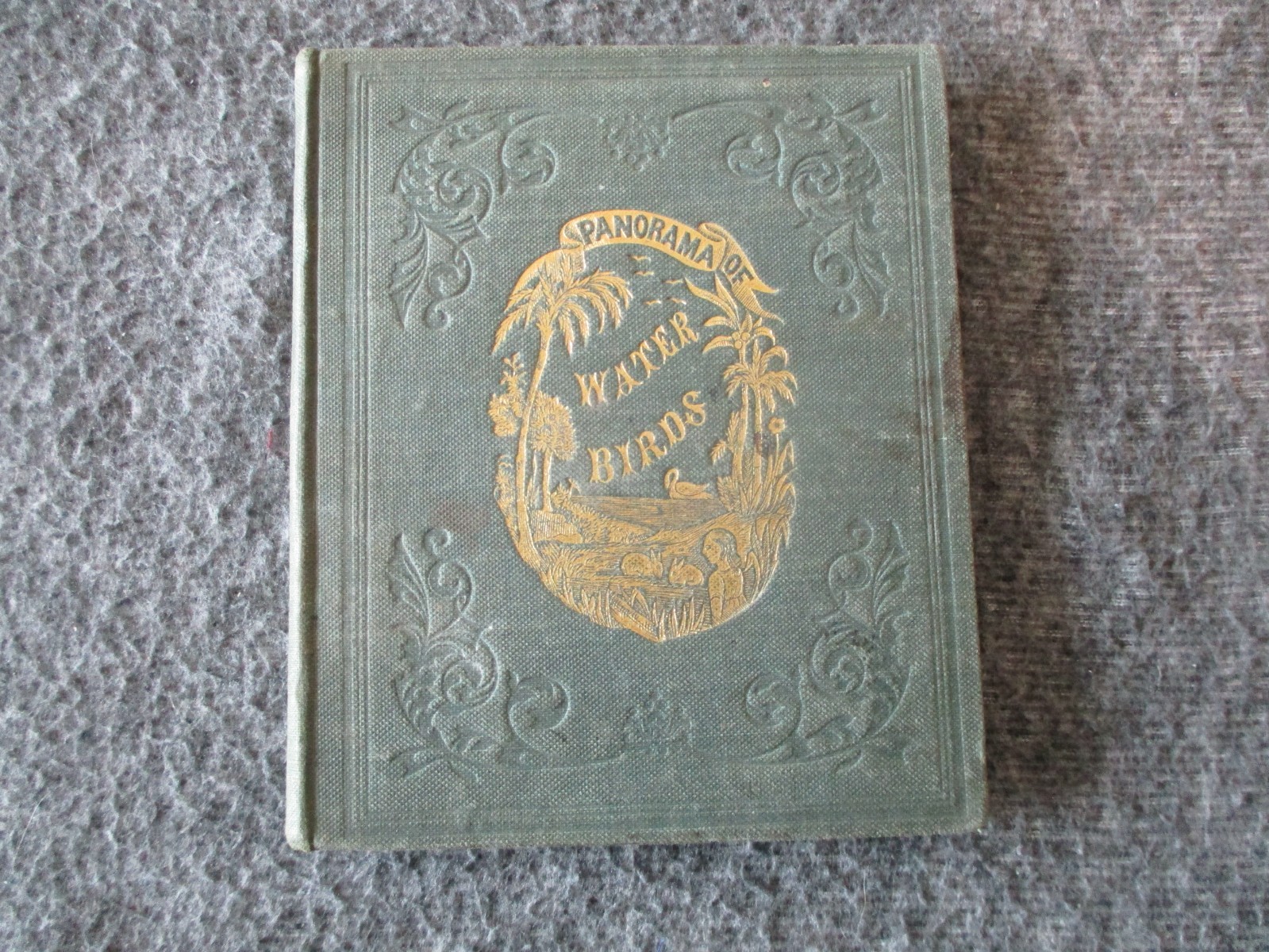RARE ANTIQUE BOOK - PANORAMA OF WATER BIRDS - 1st Edition - 1854 w/ILLUS. + GILT