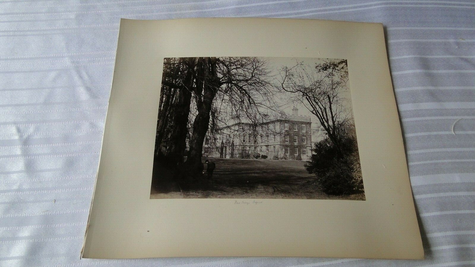 Vintage 19th Century British Albumen Photo New College Oxford Vintage 19th Century British Albumen Photo New College Oxford