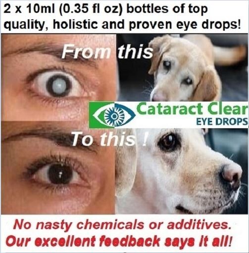 N-Acetyl-Carnosine Eye Drops 4.2% – Natural Eye Care Solution 10ml x2