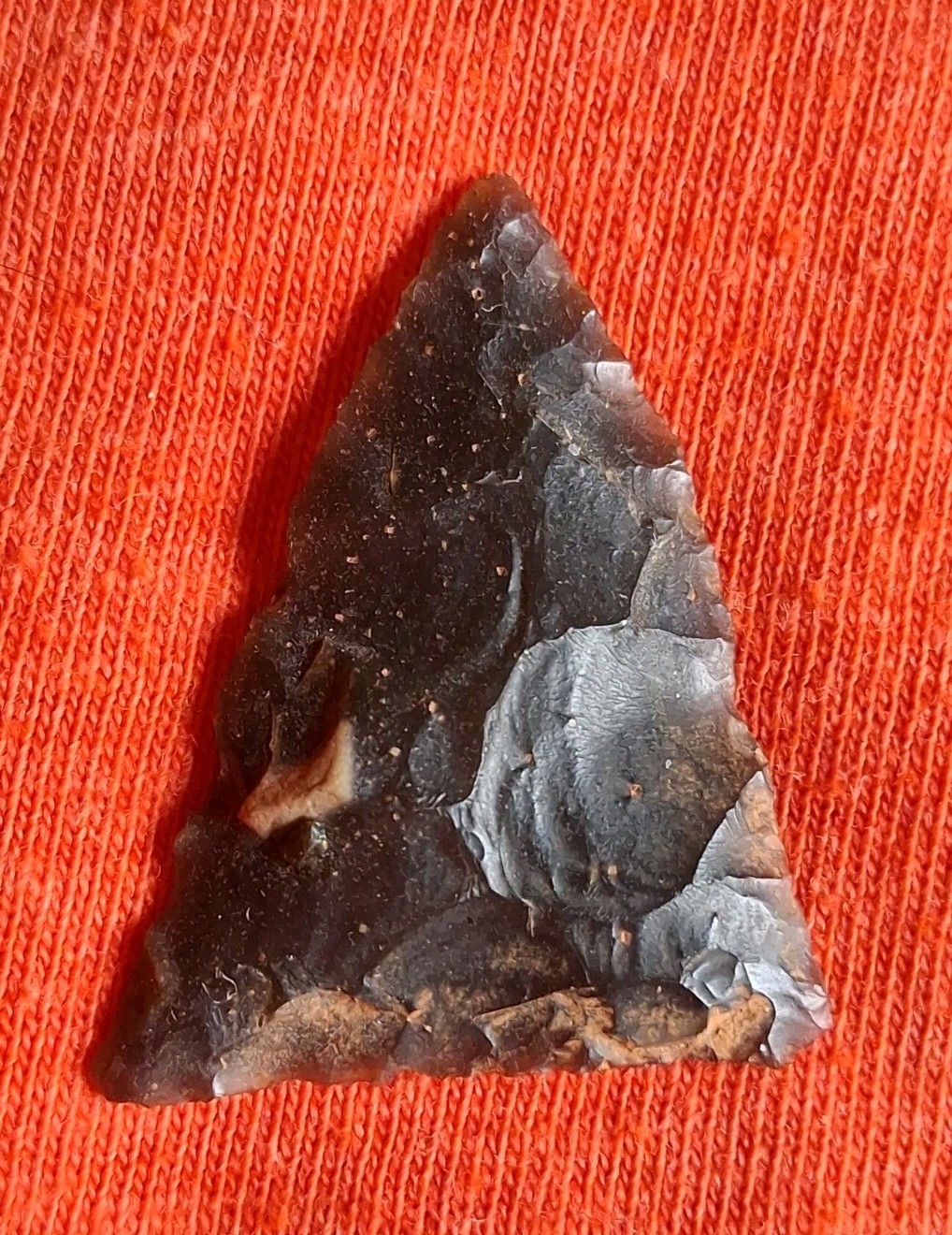 AUTHENTIC CARAWAY WOODLAND POINT NORTH CAROLINA ARROWHEAD Artifact Relic NC