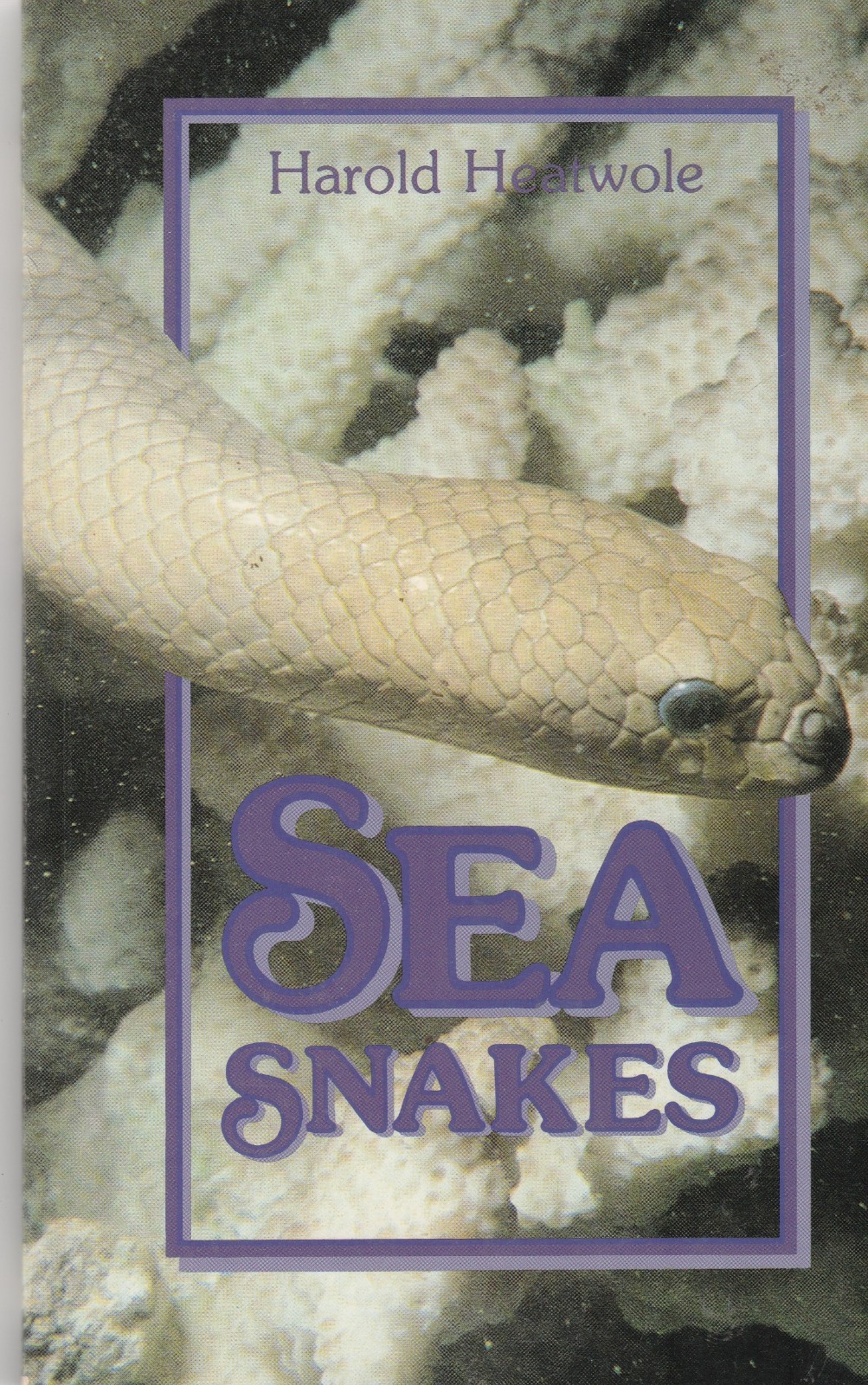 Sea Snakes Harold Heatwole Herpetology Reptiles Venomous 1st Edition Softcover