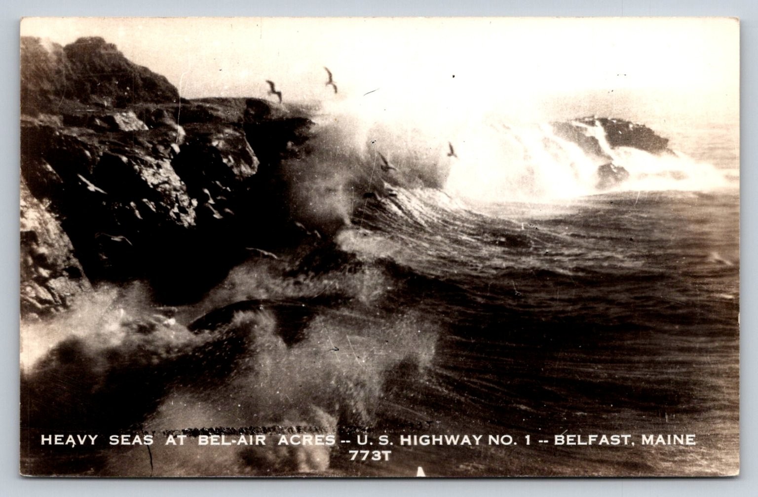 Heavy Seas Bel-Air Acres US-1 Belfast Maine Vintage Real Photo Postcard RPPC