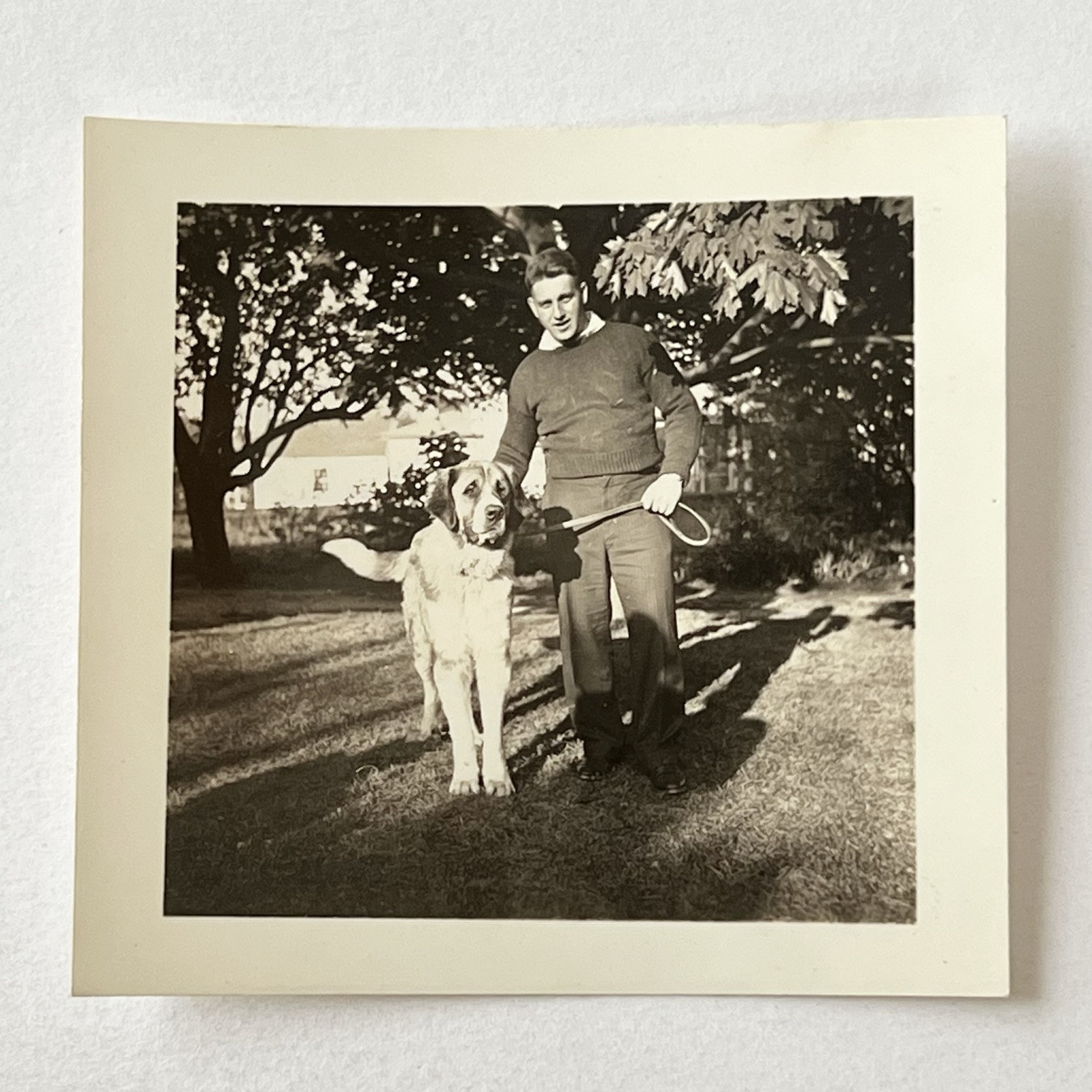Vintage Sepia Snapshot Handsome Young Man With Beloved St Bernard Dog