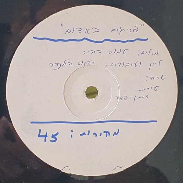 עירית דותן-פאר* - פרגים באדום =/ על הרגבים - 12\ עירית דותן-פאר* - פרגים באדום =/ על הרגבים - 12\