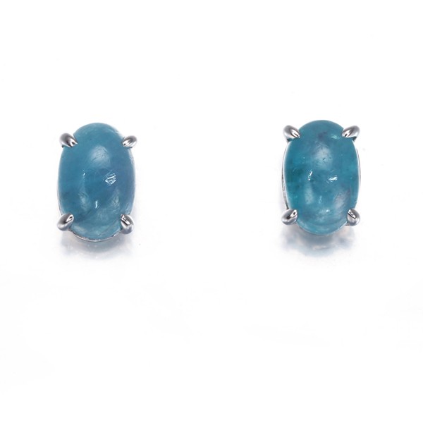 Auth GSTV Earrings Paraiba Tourmaline 0.40ct/0.40ct 950 900 Platinum