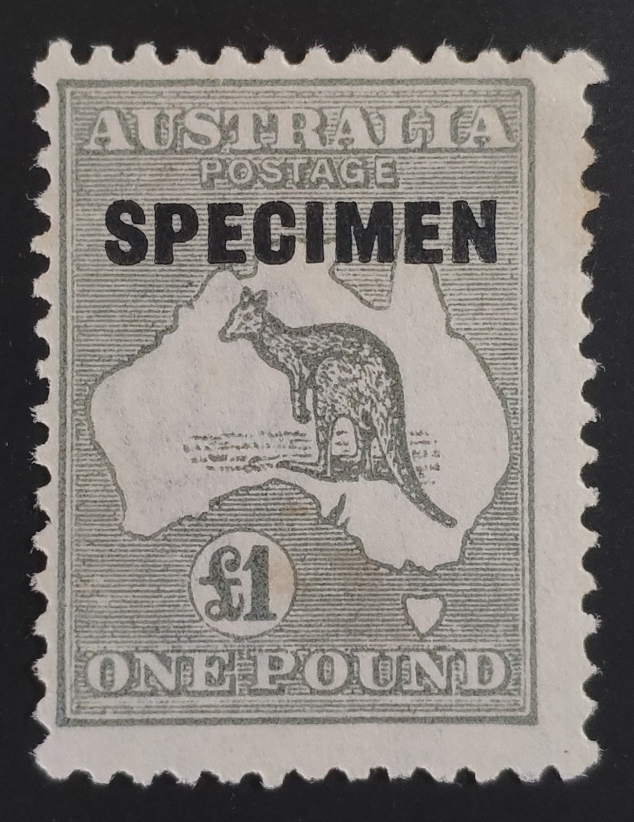 AUSTRALIA. GV.  VERY RARE 1924 £1 Kangaroo 3rd Wmk 