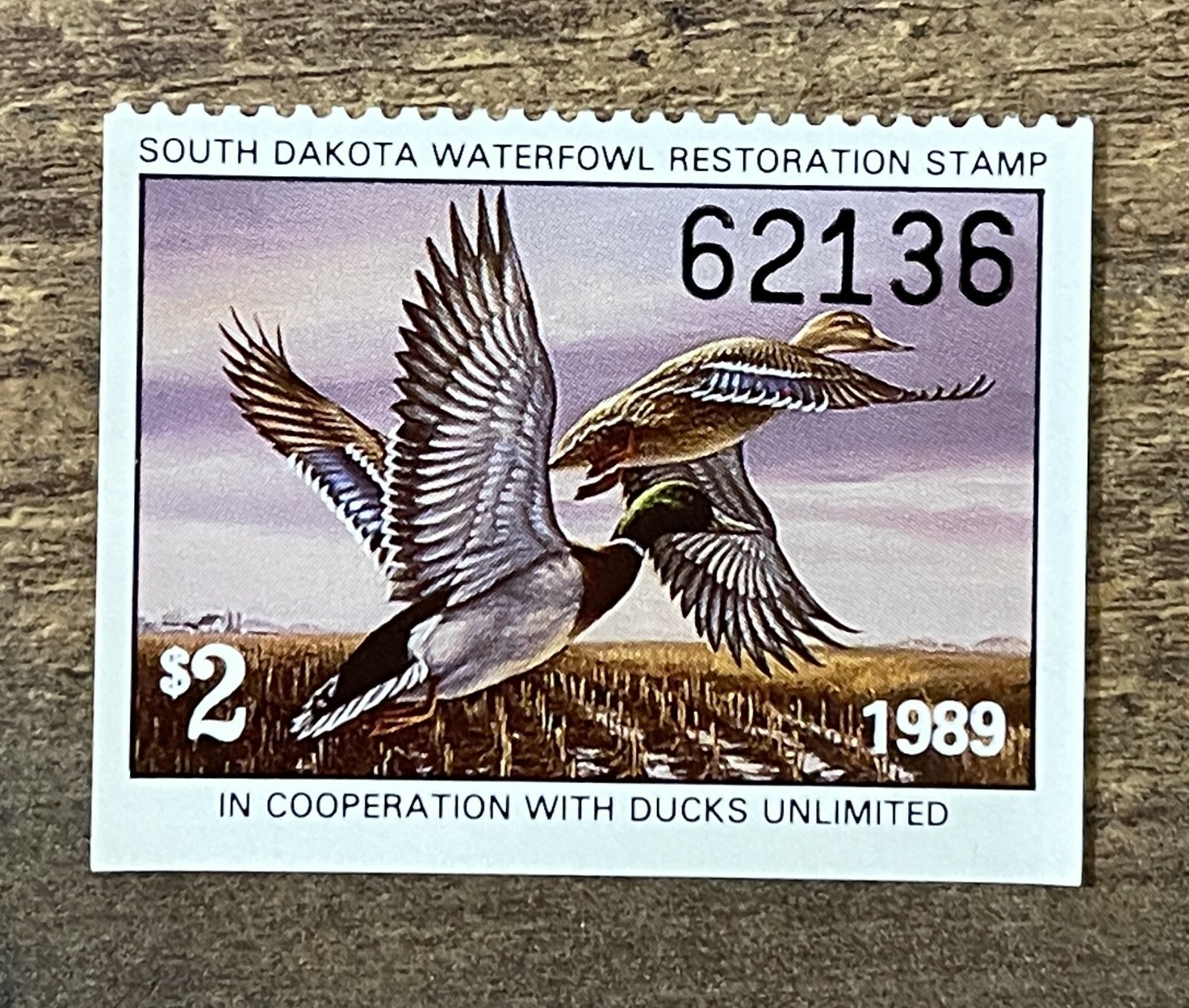 WTDstamps - 1989 SOUTH DAKOTA - State Duck Stamps - Mint OG NH WTDstamps - 1989 SOUTH DAKOTA - State Duck Stamps - Mint OG NH