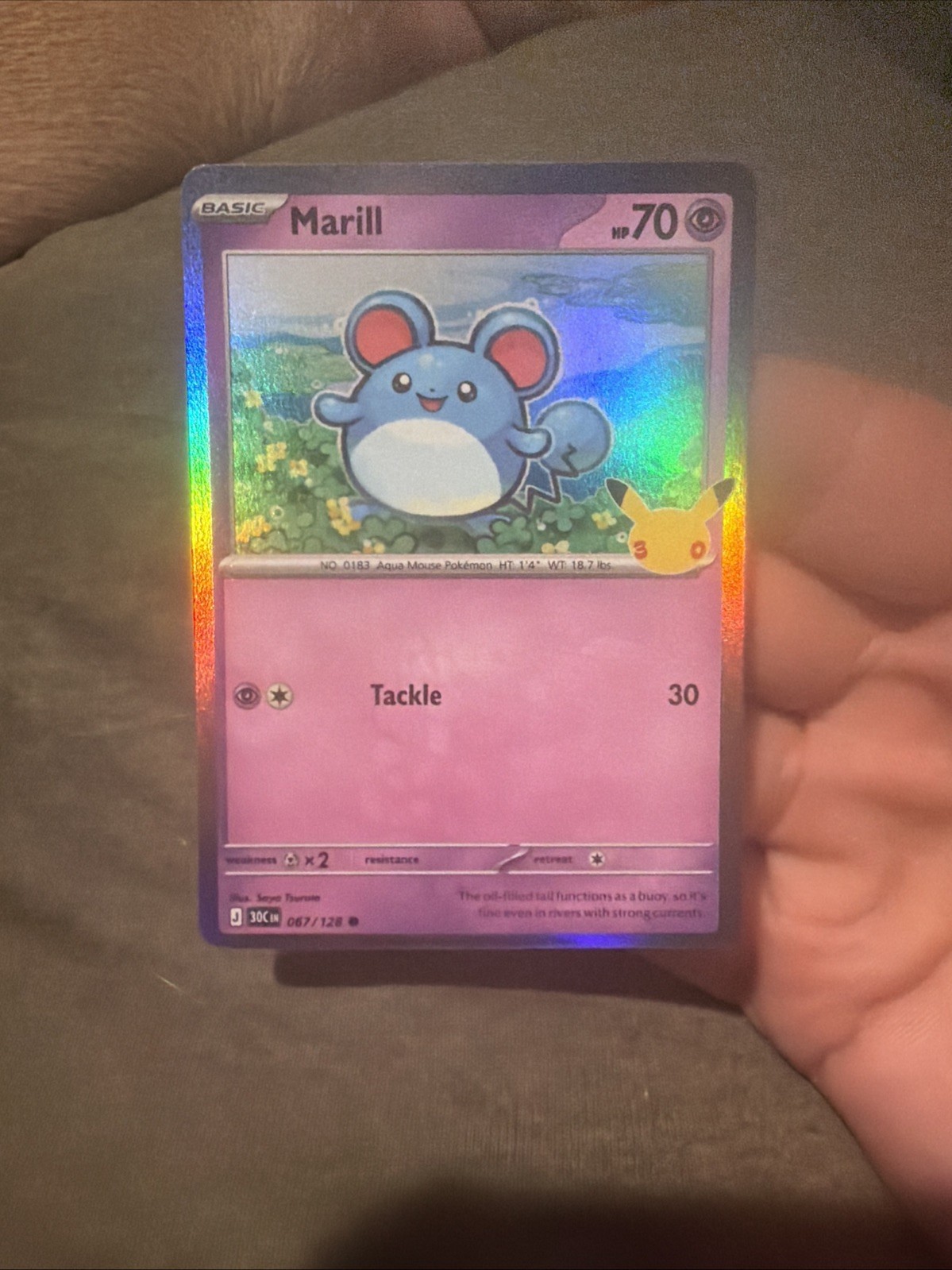 Marill 067/128 30th celebration Holo Pokemon TCG English Marill 067/128 30th celebration Holo Pokemon TCG English