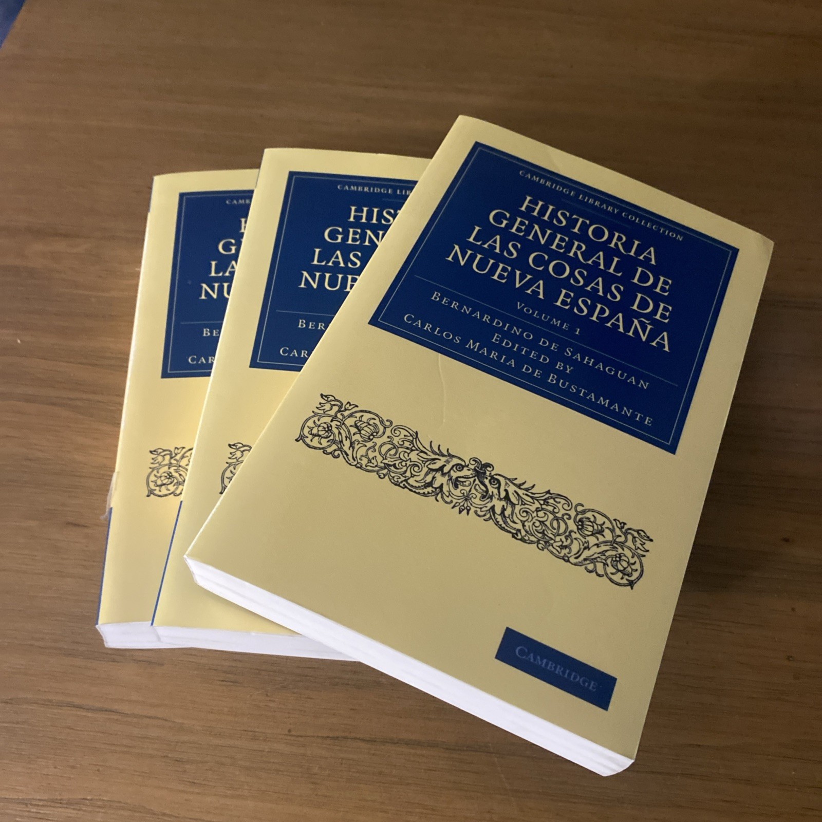Bernardino de S Historia General de las Cosas de Nueva  (Paperback) (UK) SET
