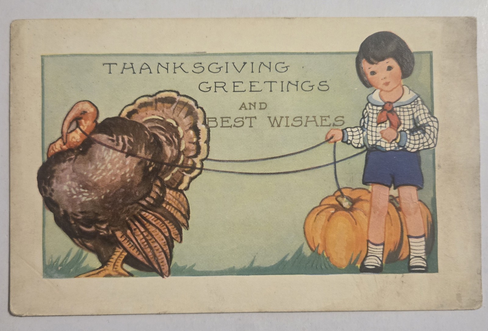 Thanksgiving Greetings Child Walking Turkey Antique Embossed Used Postcard 114 Thanksgiving Greetings Child Walking Turkey Antique Embossed Used Postcard 114
