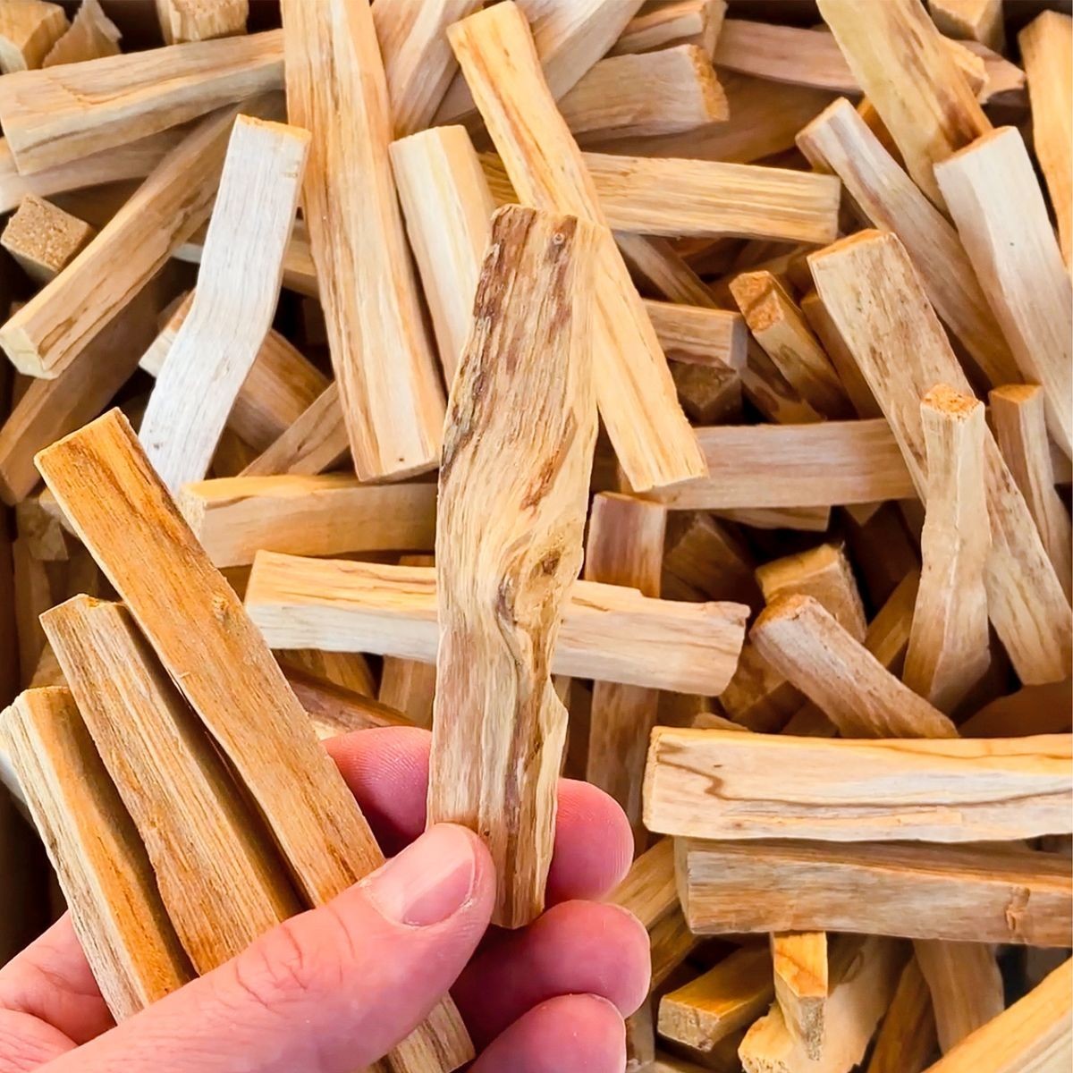 Palo Santo Sticks Bulk by the Pound Wholesale Holy Wood Smudging Cleansing Palo Santo Sticks Bulk by the Pound Wholesale Holy Wood Smudging Cleansing