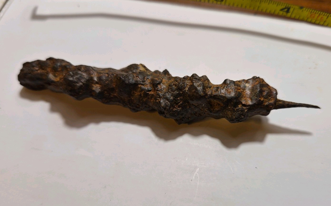 Archaeopteryx Toe Claw Fossil 
