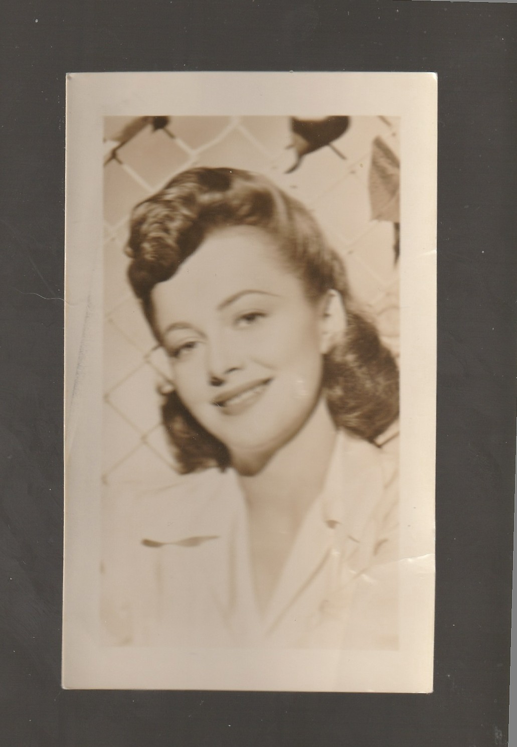 Vintage 1944 Warner Bros. Olivia de Havilland promotional photograph, 2\