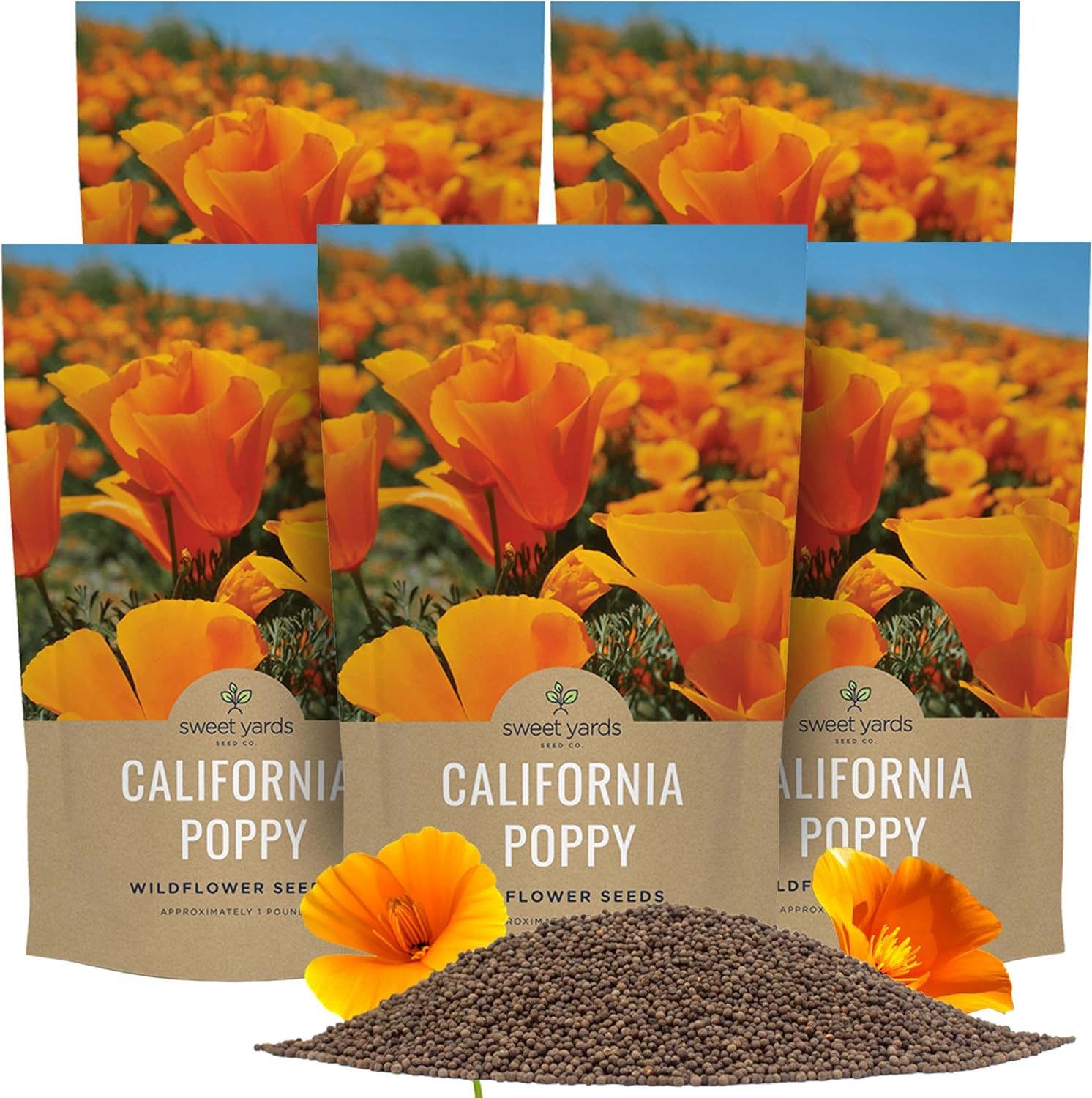 Bulk California Orange Poppy Wildflower Seeds - 5 Pounds - over 1,600,000 Native