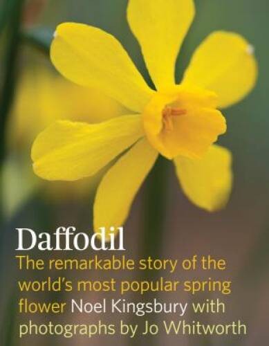 Daffodil: The remarkable story of the world\'s most popular s - VERY GOOD Daffodil: The remarkable story of the world\'s most popular s - VERY GOOD