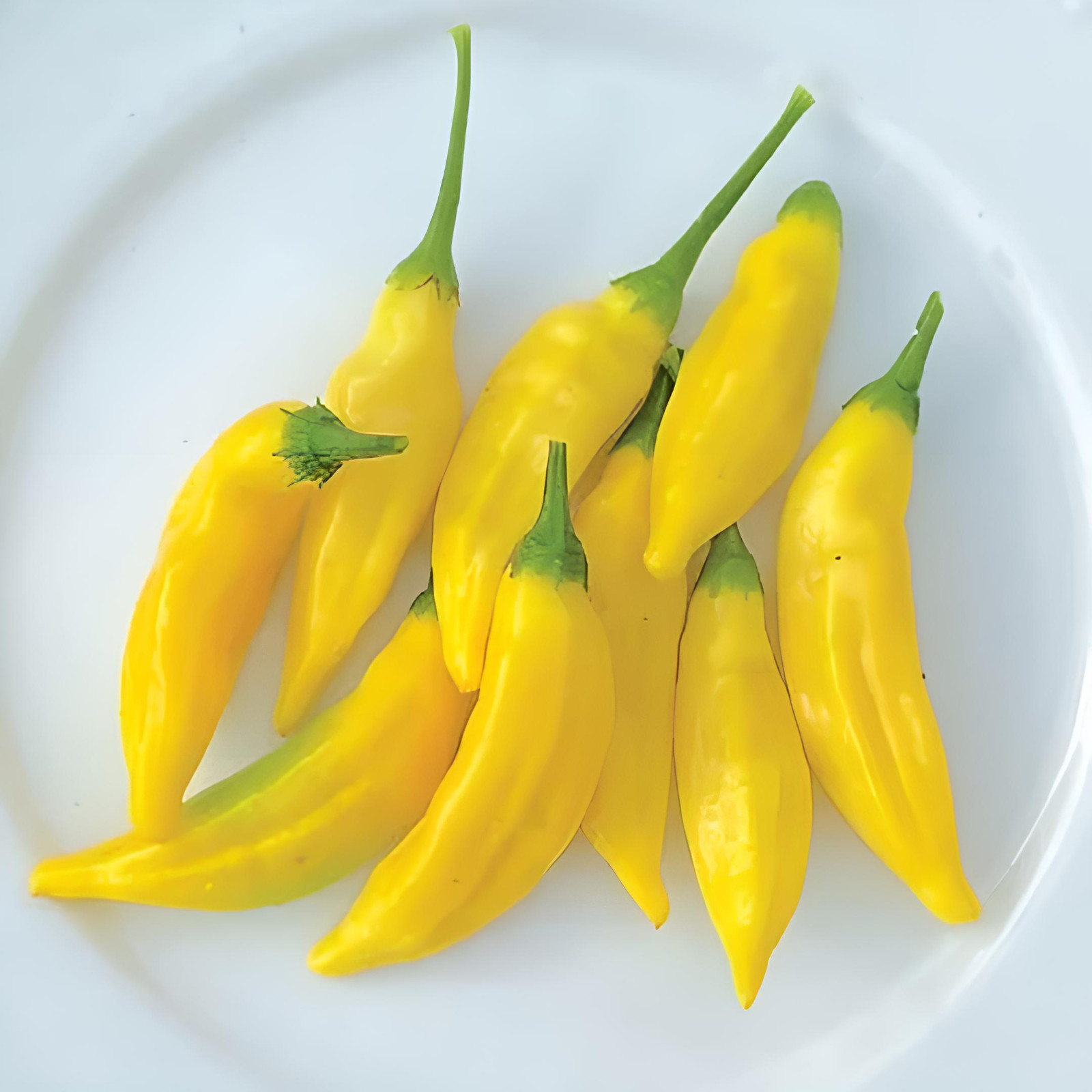 Aji Lemon Drop Hot Pepper 20+ Seeds